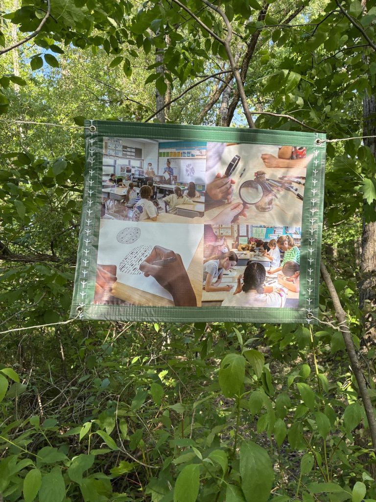 Portraits du marais 2
