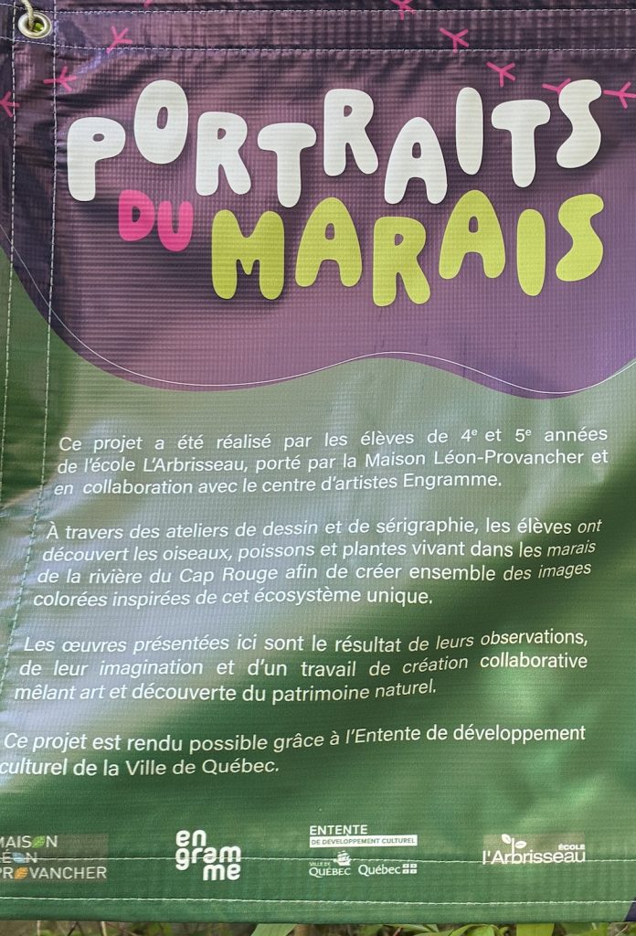 Portraits du marais